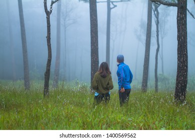 back view of couple in pine forest with white fog on morning