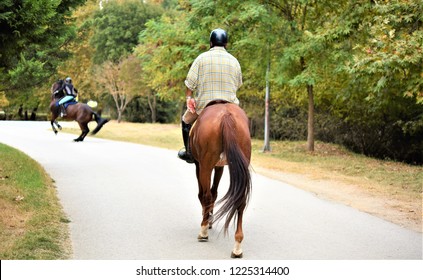 back view of a couple riding horses in the park.