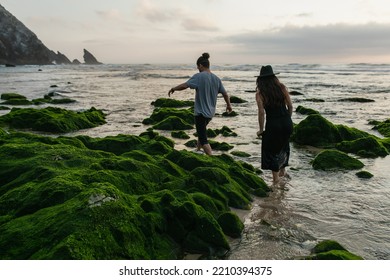 back view of couple walking near green mossy stones in ocean