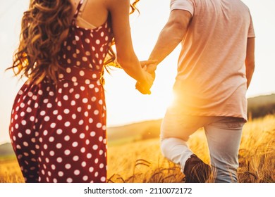 Back view of a couple walking at sunset in a wheat field. Wheat field. Holding hand.