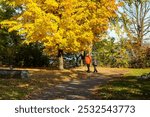 Back view of couple in warm jackets strolling in the 1849 protestant Mount Hermon Cemetery during a golden hour fall afternoon, Quebec City, Quebec, Canada