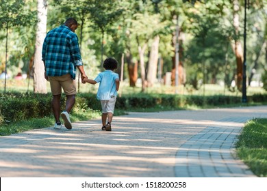 Back View Of Curly Kid Holding Hands With African American Father And Walking In Park