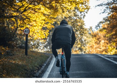 Back view of a cyclist in Epping Forest, London amidst a backdrop of vibrant autumn foliage