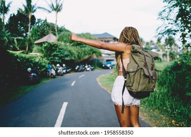 Back View Of Dark Skinned Hitchhiker With Hand Up Catching Automobile Transport At Roadside For Getting To Travel Destination During Wildlife Style Of Trip, Female Tourist With Rucksack Survive