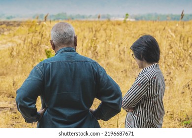 Back View Of Elderly Couple Farmers Discuss Soil Quality For Farming In Field. Lovers Agriculturist Consult Each Other About Cultivation In Meadow. Farm And Agricultural Business After Retirement.