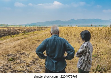 Back View Of Elderly Couple Farmers Discuss Soil Quality For Farming In Soil Field. Lovers Agriculturist Consult Each Other About Cultivation In Meadow. Farm And Agricultural Business After Retirement