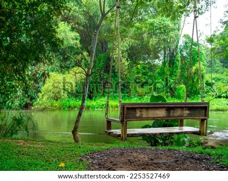 Back view of a empty alone wooden swing hanging on the big tree over the stream on the green forest background, relaxing place. Hanging bench chair seat with the nature view.