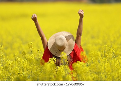 Back view of an excited woman in red wearing pamela raising arms in a yellow field in spring season - Shutterstock ID 1970609867
