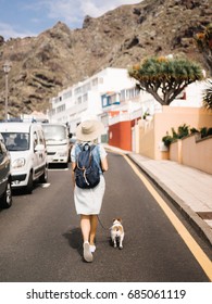 Back view of female tourist walking with dog on road in suburbs.