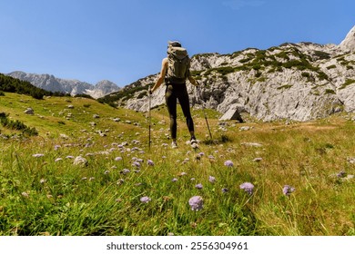 Back view of female traveler with trekking sticks hiking in green Alpine valley with wildflowers and wooden mountain hut. Woman tourist walking alone on mountain path in Alps. Active people concept. - Powered by Shutterstock