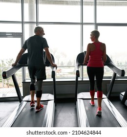 Back View Fit Mature Woman And Man In Leggings And Bright Trainers Walking On A Treadmills In Front Of Large Panoramic Windows In Sports Center. Conversation Between Elderly Sports People.