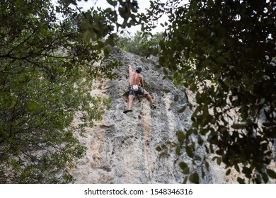 Back View Of Fit Young Man Climbing Rock Wall Through Trees On Summer Day