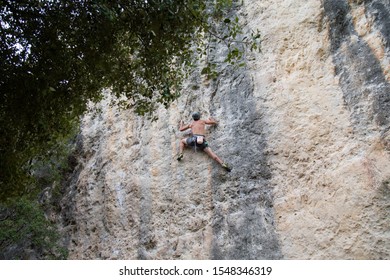 Back View Of Fit Young Man Climbing Rock Wall Through Trees On Summer Day