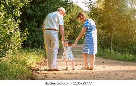 Back View Of Grandparents And Baby Grandchild Walking On A Nature Path