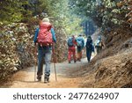 Back view of a group friends hiking with large backpacks to along mountain path through beautiful forest during trek in the Himalayas, Nepal.
