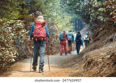 Back view of a group friends hiking with large backpacks to along mountain path through beautiful forest during trek in the Himalayas, Nepal.
 - Powered by Shutterstock