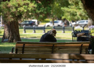 Rückansicht eines Obdachlosen auf einer Bank, Sommer, draußen, Kopienraum