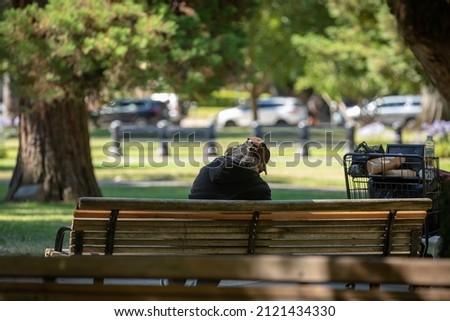 Back View of a homeless Man sitting on a Bench, Summer, outdoors, Copy Space