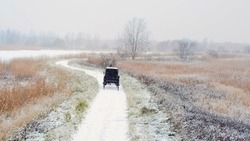 Back View Of Horse Carriage On Countryside Road In Winter