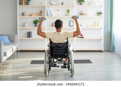 Back View Of Impaired Black Guy In Wheelchair Exercising With Dumbbells At Home. Sports And Disability Concept