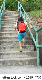 The Back View Of A Little Boy And A Backpack Is Moving And Running Up Stairs During Summer Time.One Small Kid Is Walking On StepsHealthy Children With Outdoor Exercise Concept.