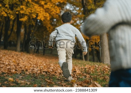 Back view of a little boy running on a lawn in the autum forest