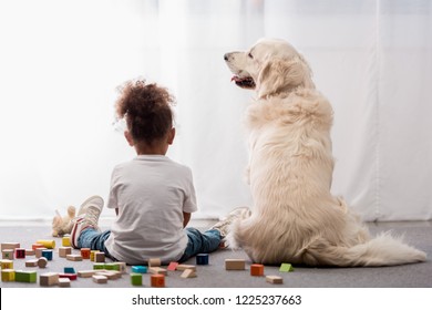 Back View Of Little Kid In White T-shirts With Happy Dog Surrounded By Toy Cubes