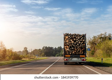 Back View Of Long Heavy Industrial Wood Carrier Cargo Vessel Truck Trailer With Big Timber Pine, Spruce, Cedar Driving On Highway Road With Blue Sky Background. Timber Export And Shipping Concept