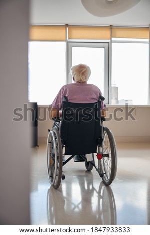 Back view of a male pensioner with short gray hair sitting alone in the room
