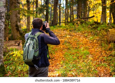 Back view male photographer in bright autumn forest. - Powered by Shutterstock