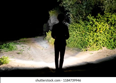 Back View Of Man Standing Outdoor On Night Forest Road Lighting The Way With Electric Flashlight