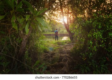 Kinabalu Park Hd Stock Images Shutterstock