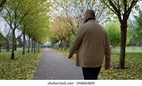 Back View Man Walking Across Beautiful Park In Autumn. Rear View Of Mature Senior Looking Somewhere Left. Grey Hair Person Strolling Slowly Through Fall Park Outdoors.