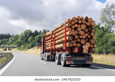 Back view many long heavy industrial wood carrier cargo vessel truck trailer with big timber pine, spruce, cedar driving on highway road with blue sky background. Timber export and shipping concept - Powered by Shutterstock