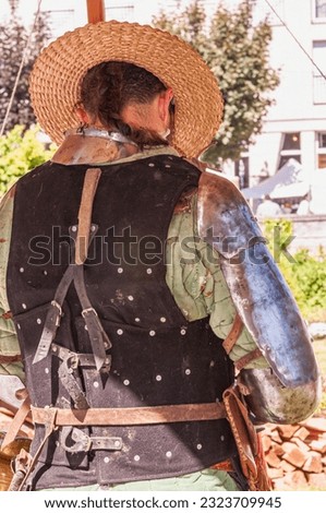 back view, medium distance of, a midevil, knight in armor, but with straw hat