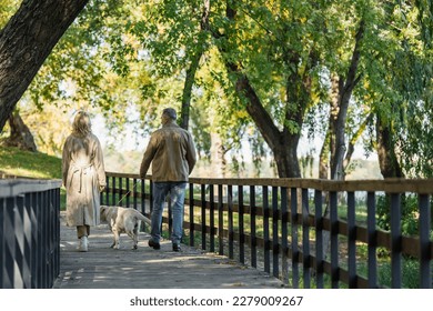 Back view of middle aged coupe walking with labrador on bridge in spring park