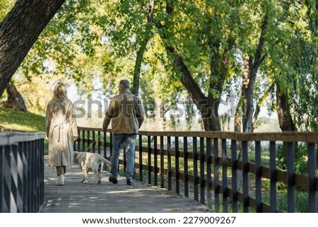 Back view of middle aged coupe walking with labrador on bridge in spring park
