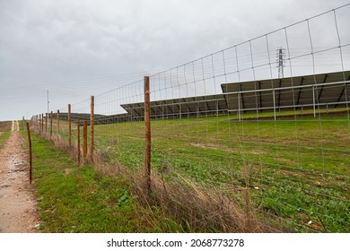 Back view of multiple solar panels set at angle in green and brown autumn field behind wire fence with dirt road near it under grey sky in rainy day in Portugal (FOCUS ON PANELS)