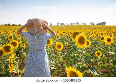 Back View Of Old Woman Standing In A Field Of Sunflowers. Space For Text.