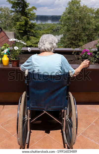 Back View Old Woman Wheelchair Planting Stock Photo 1991603489 ...