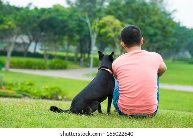 Back view of an owner sitting on the green lawn with his black dog 