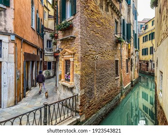 Back View Of People Walking A Dog In The Venice Street