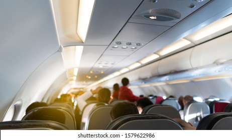 The back view of the person sitting in the plane
