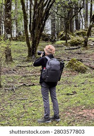 Back view of a photographer with backpack taking photo in a lush green mossy forest.