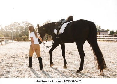 Back view picture of young blonde beautiful woman with horse in countryside outdoors