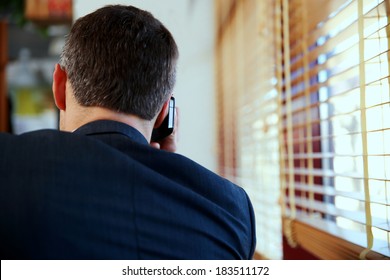 Back View Portrait Of A Businessman Talking On The Phone At Office