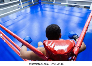 Back view portrait of a male boxer sitting in the corner of boxing ring - Powered by Shutterstock