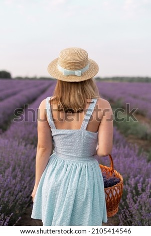 Back view portrait of stylish brunette woman in straw hat walking outdoors on lavender field. Brunette with picnic basket meet the sunset, enjoy the fresh air, beautiful nature concept.