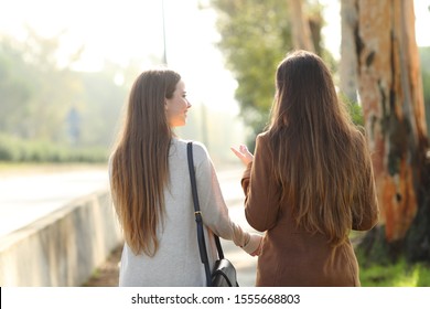 Back View Portrait Of Two Women Walking And Talking In A Park Asunny Day