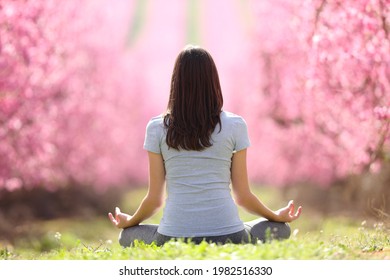 Back View Portrait Of A Woman Doing Yoga Exercise In A Pink Flowered Field